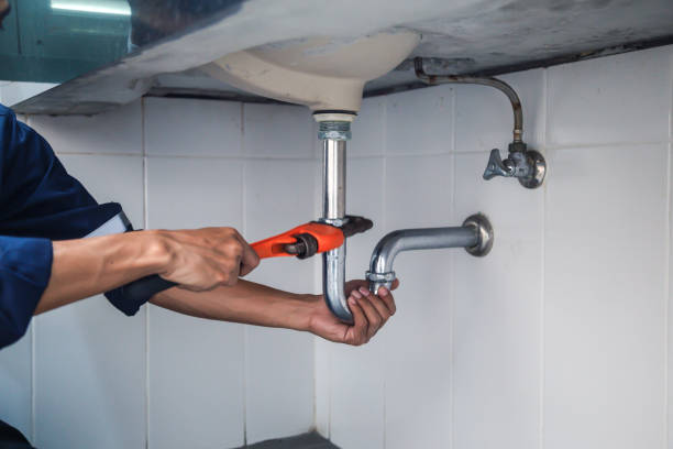 Best Residential Plumbing Services  in West Point, NE